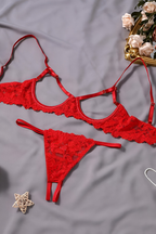 Women's Plunging Lace Lingerie Set – Deep V-Neck Bra & Matching Brief Set