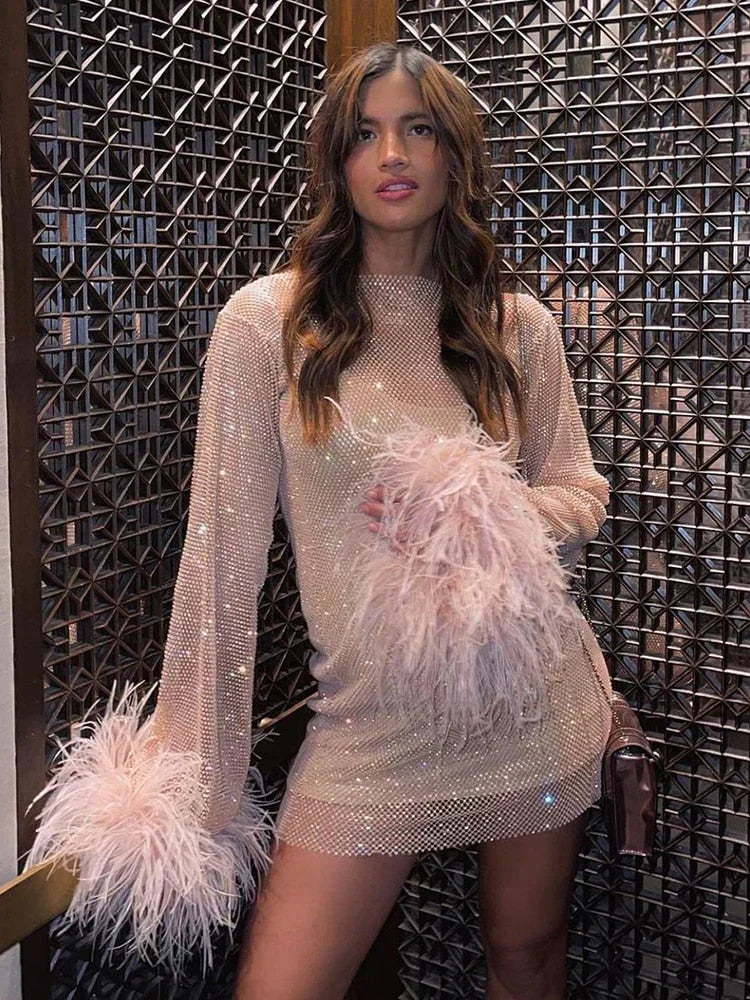 Women's Feather Trim Mini Dress – Sheer Statement Party Dress