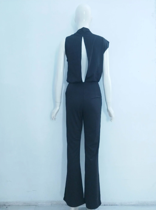 Women's Sleeveless Round Neck Jumpsuit – Flowy Wide Leg Occasion Jumpsuit