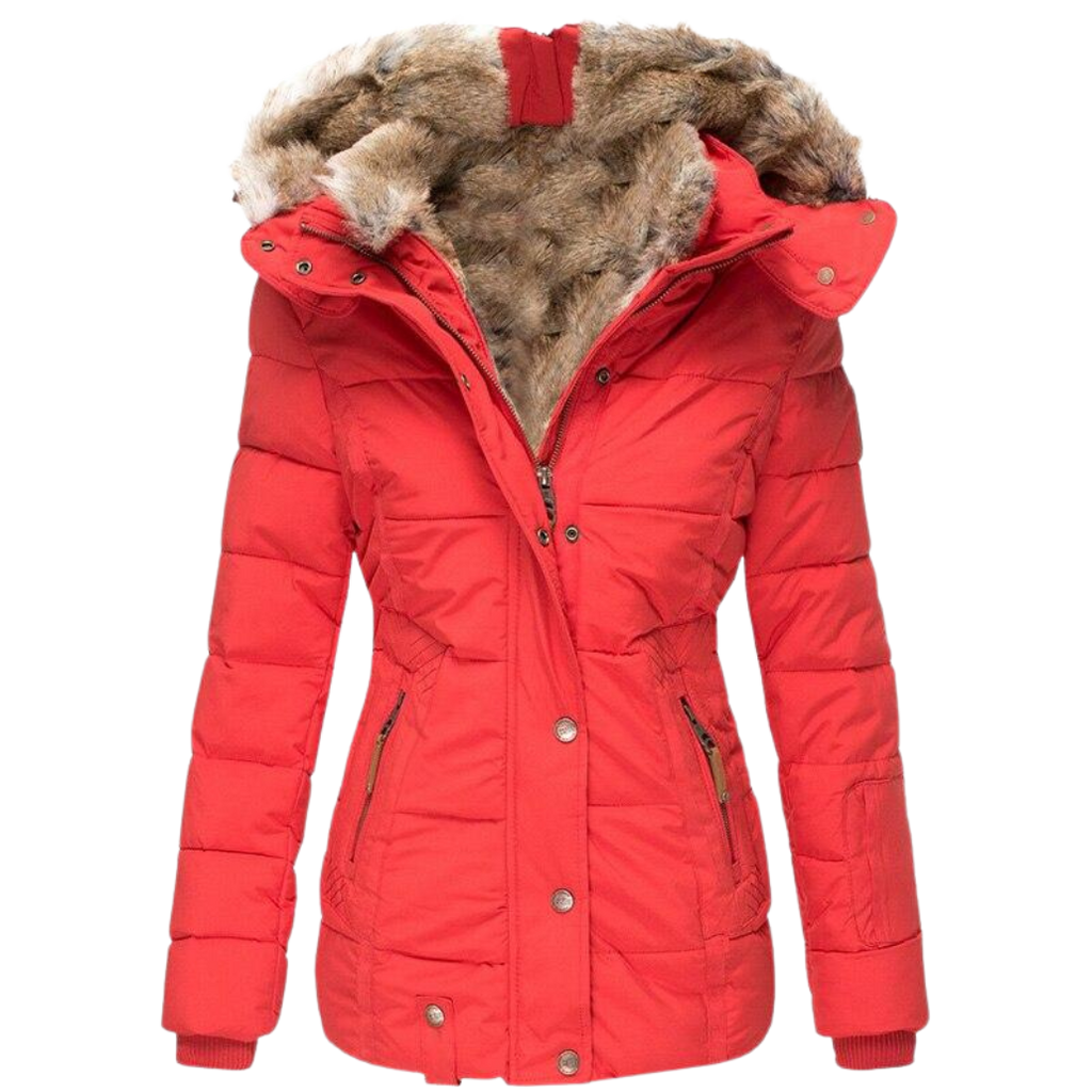 Women's Faux Fur Lined Coat – Stand Collar Button Front Winter Jacket