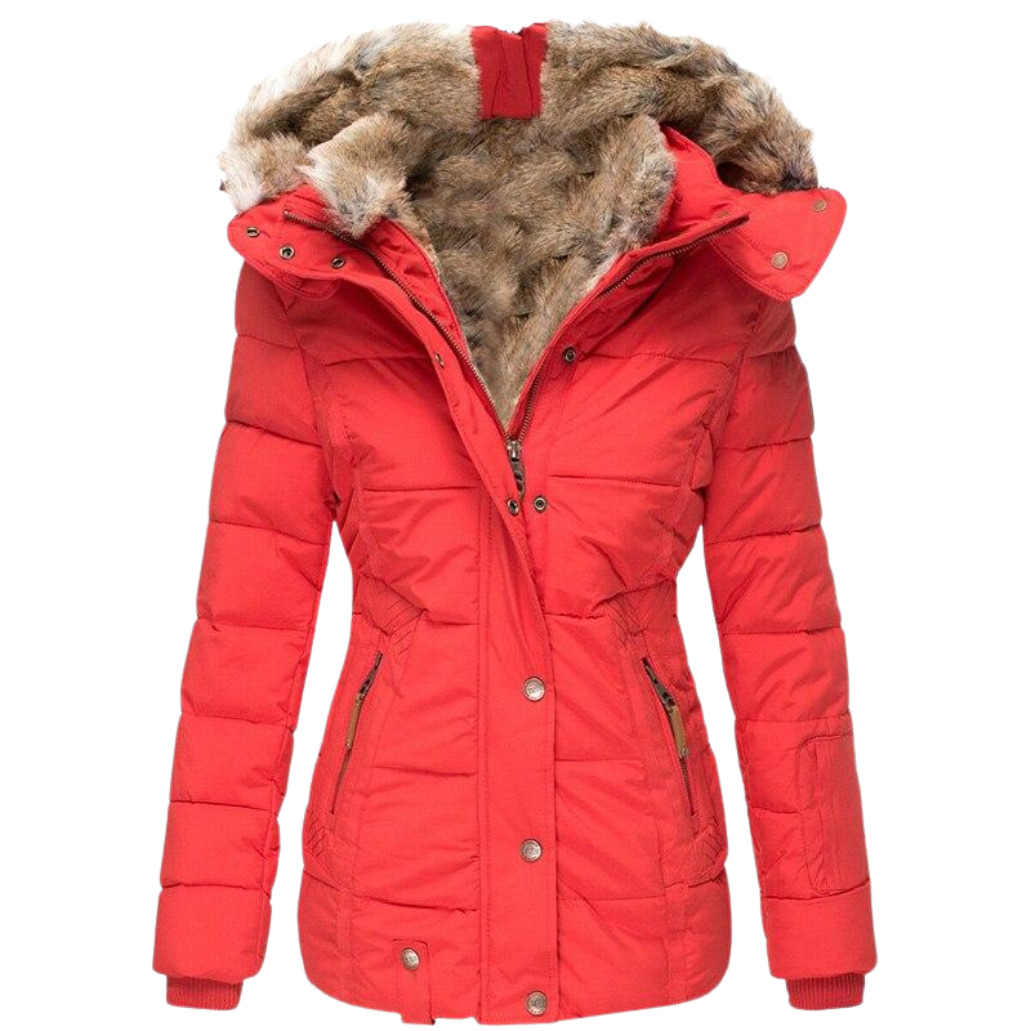 Women's Faux Fur Lined Coat – Stand Collar Button Front Winter Jacket