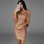 Women's Sequin Fringe Party Dress – Fitted Sparkle Evening Cocktail Dress