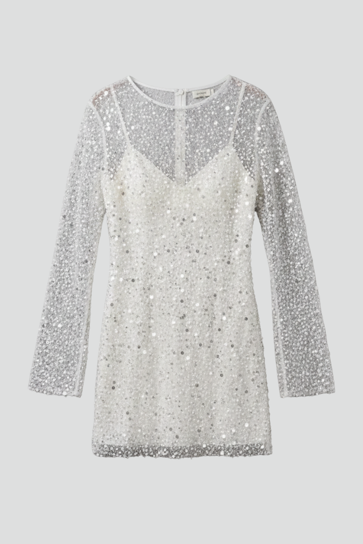 Women's Mesh Mini Dress – Long Sleeve Party Dress