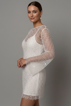 Women's Mesh Mini Dress – Long Sleeve Party Dress