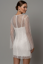 Women's Mesh Mini Dress – Long Sleeve Party Dress