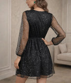 Women's V-Neck Mini Dress – Sheer Long Sleeve Sparkly Party Dress
